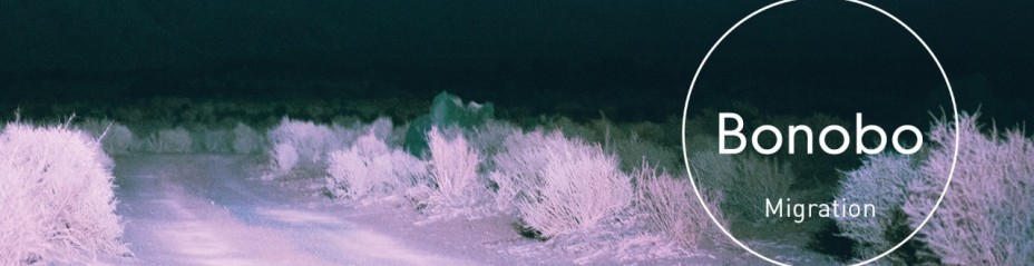 Bonobo